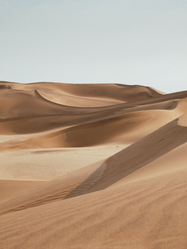 Membresías Desserts 02