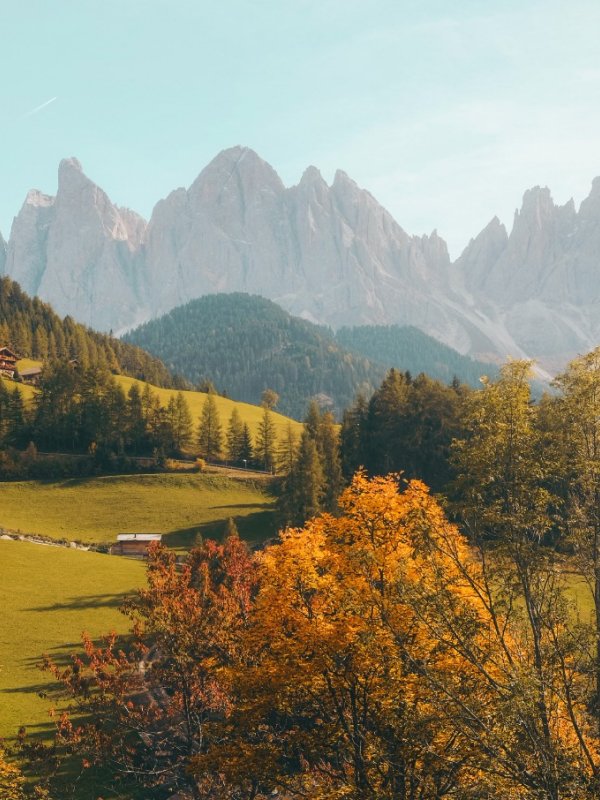 Membresías Natures 02